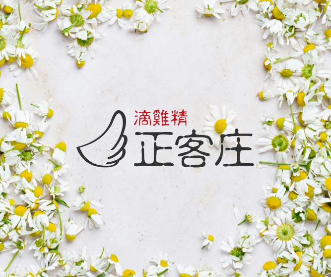 ☀️ 暑假開始了！學生族必看的夏日補氣攻略